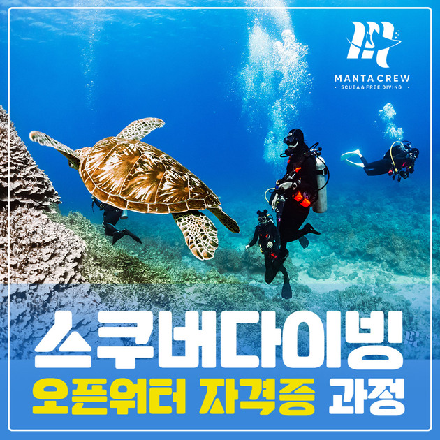 서울 스쿠버다이빙 오픈워터 자격증 교육 스킨스쿠버 강습 만타크루